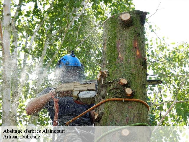 Abattage d'arbres  alaincourt-02240 Artisan Dufresne
