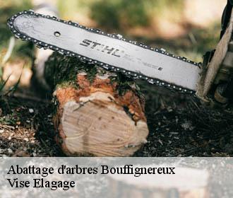 Abattage d'arbres  bouffignereux-02160 Vise Elagage