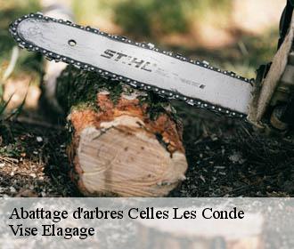 Abattage d'arbres  celles-les-conde-02330 Vise Elagage