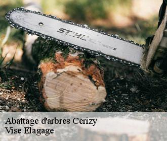 Abattage d'arbres  cerizy-02240 Vise Elagage