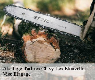 Abattage d'arbres  chivy-les-etouvelles-02000 Vise Elagage