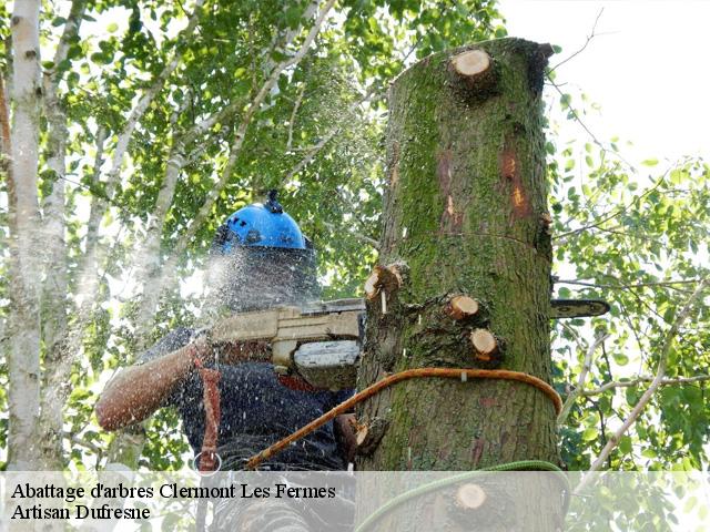 Abattage d'arbres  clermont-les-fermes-02340 Artisan Dufresne