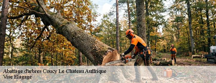 Abattage d'arbres  02380