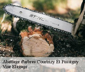 Abattage d'arbres  courtrizy-et-fussigny-02820 Vise Elagage