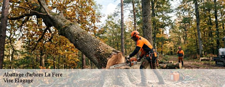 Abattage d'arbres  02800