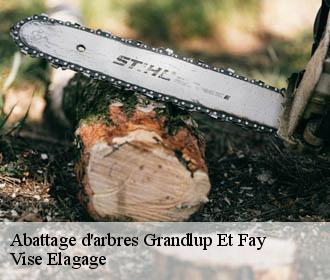 Abattage d'arbres  grandlup-et-fay-02350 Vise Elagage