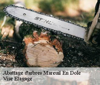 Abattage d'arbres  mareuil-en-dole-02130 Vise Elagage