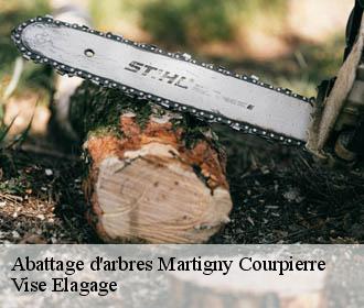 Abattage d'arbres  martigny-courpierre-02860 Vise Elagage