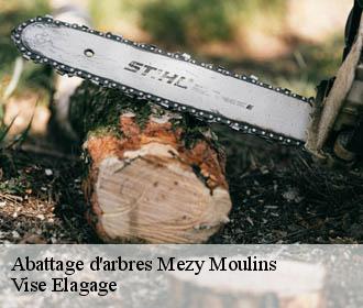 Abattage d'arbres  mezy-moulins-02650 Vise Elagage