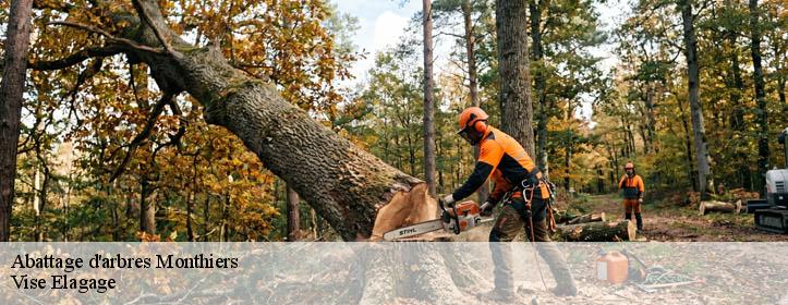 Abattage d'arbres  02400