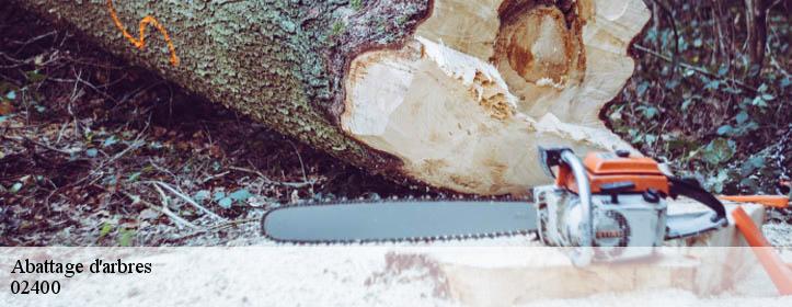 Abattage d'arbres  02400