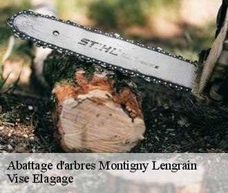 Abattage d'arbres  montigny-lengrain-02290 Vise Elagage