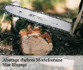 Abattage d'arbres  mortefontaine-02600 Vise Elagage