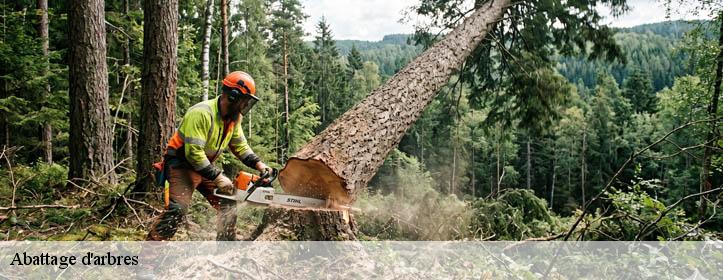 Abattage d'arbres  02250