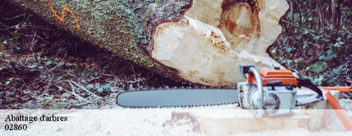 Abattage d'arbres  02860