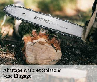 Abattage d'arbres  soissons-02200 Vise Elagage