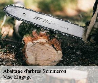 Abattage d'arbres  sommeron-02260 Vise Elagage
