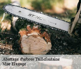 Abattage d'arbres  taillefontaine-02600 Vise Elagage