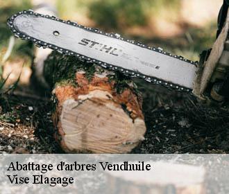 Abattage d'arbres  vendhuile-02420 Vise Elagage