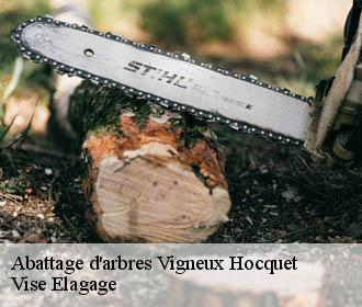 Abattage d'arbres  vigneux-hocquet-02340 Vise Elagage