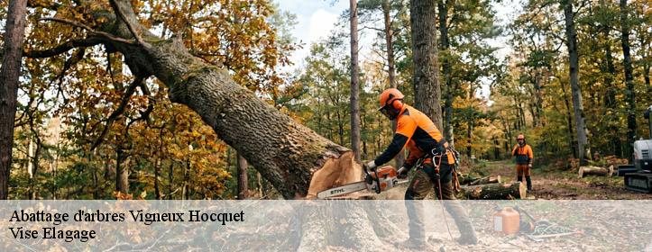 Abattage d'arbres  02340