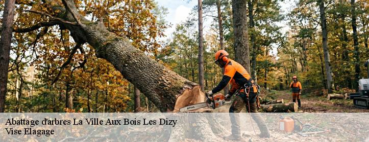 Abattage d'arbres  02340