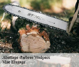 Abattage d'arbres  voulpaix-02140 Vise Elagage