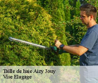 Taille de haie  aizy-jouy-02370 Vise Elagage