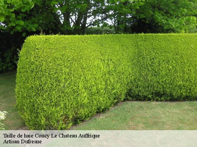 Taille de haie  coucy-le-chateau-auffrique-02380 Artisan Dufresne