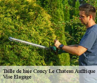 Taille de haie  coucy-le-chateau-auffrique-02380 Vise Elagage