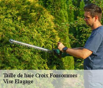 Taille de haie  croix-fonsommes-02110 Vise Elagage