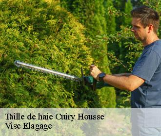 Taille de haie  cuiry-housse-02220 Vise Elagage
