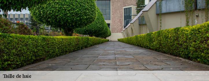 Taille de haie  02600