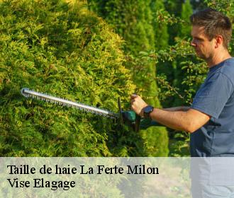 Taille de haie  la-ferte-milon-02460 Vise Elagage