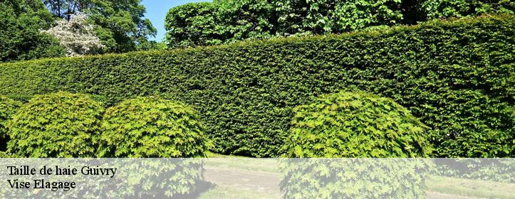 Taille de haie  02300