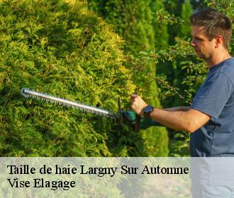 Taille de haie  largny-sur-automne-02600 Vise Elagage