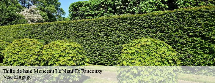 Taille de haie  02270