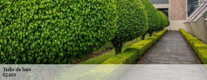 Taille de haie  02360