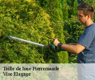 Taille de haie  pierremande-02300 Vise Elagage