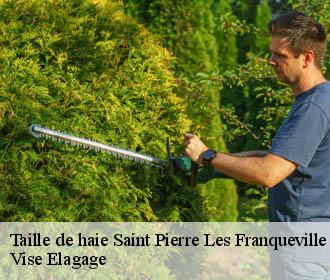 Taille de haie  saint-pierre-les-franqueville-02140 Vise Elagage