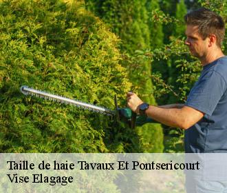 Taille de haie  tavaux-et-pontsericourt-02250 Vise Elagage