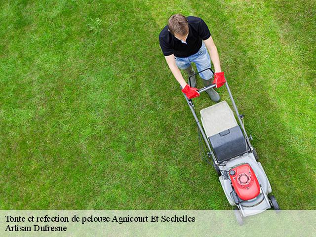 Tonte et refection de pelouse  agnicourt-et-sechelles-02340 Artisan Dufresne
