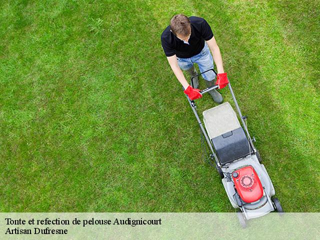 Tonte et refection de pelouse  audignicourt-02300 Artisan Dufresne