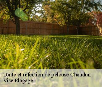Tonte et refection de pelouse  chaudun-02200 Vise Elagage