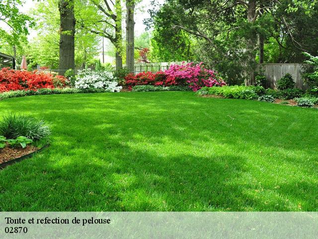 Tonte et refection de pelouse 02870