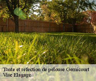Tonte et refection de pelouse  gernicourt-02160 Vise Elagage