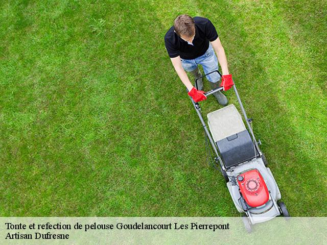 Tonte et refection de pelouse goudelancourt-les-pierrepont-02350 Artisan Dufresne