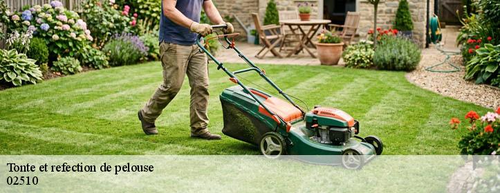 Tonte et refection de pelouse  02510