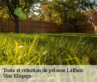 Tonte et refection de pelouse  laffaux-02880 Vise Elagage