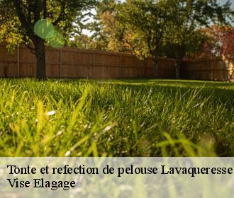 Tonte et refection de pelouse  lavaqueresse-02450 Vise Elagage